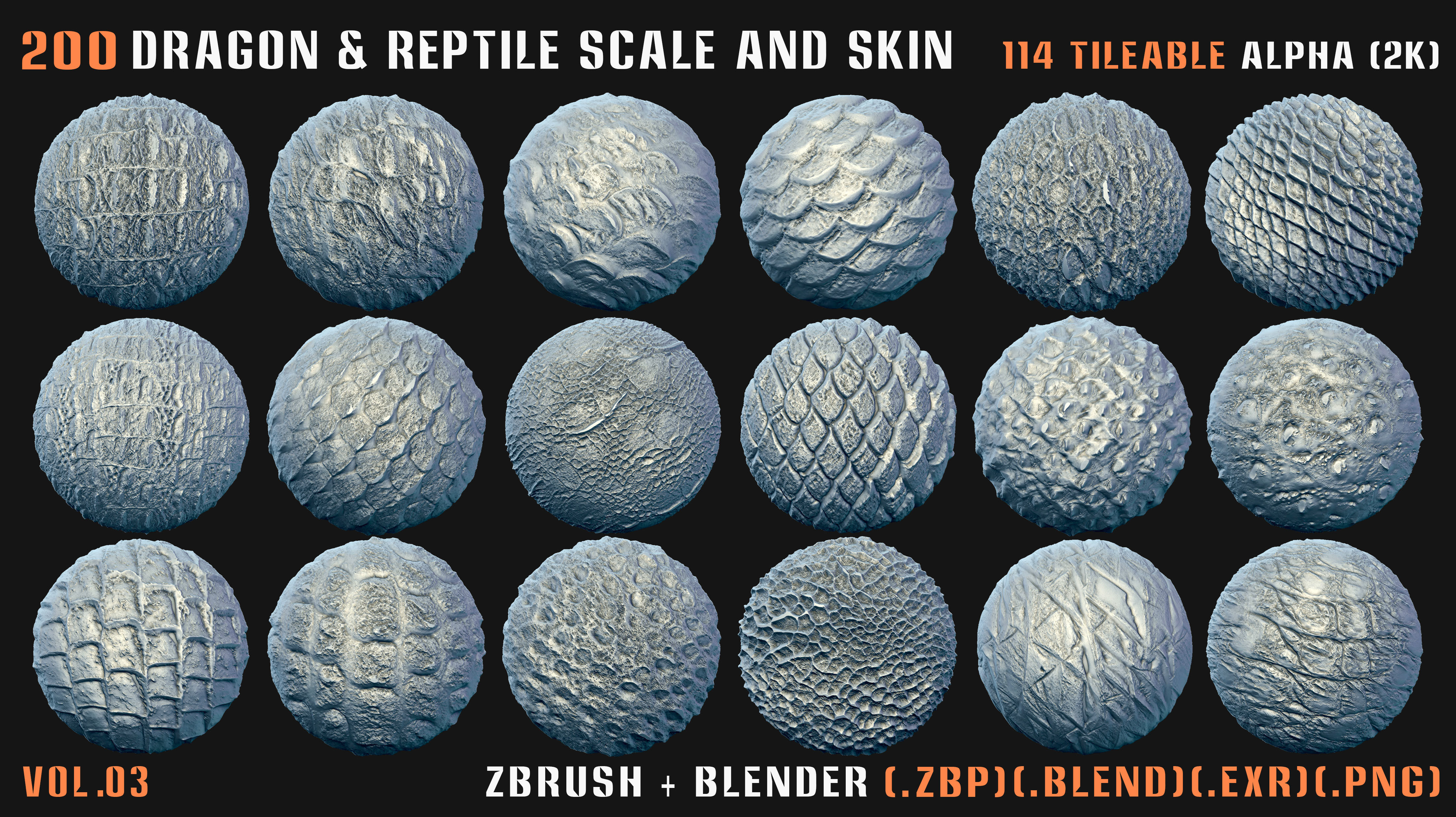 200 Dragon and Reptile Scale and Skin -VDM -Alpha -VOL03 3D model_12