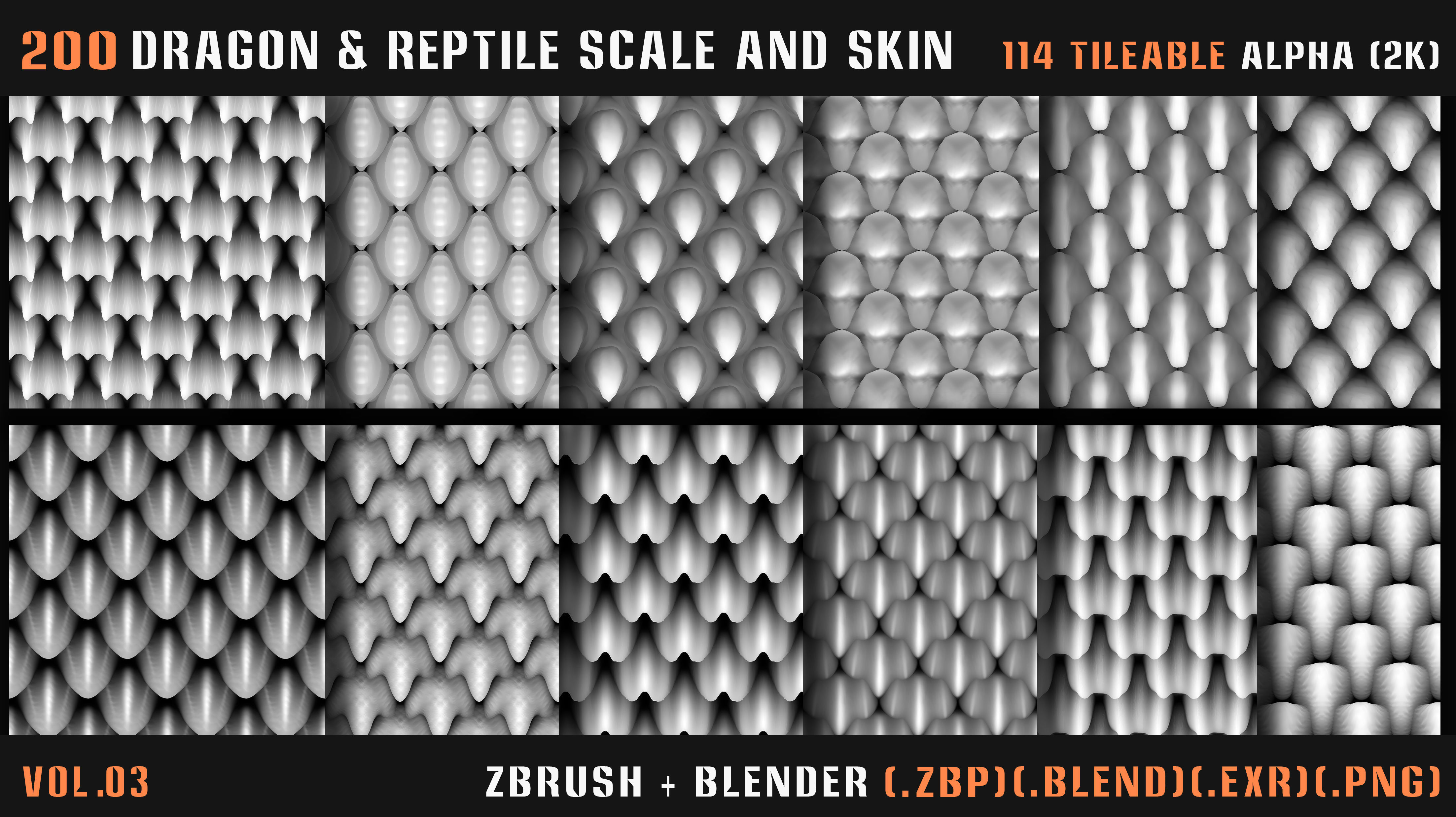 200 Dragon and Reptile Scale and Skin -VDM -Alpha -VOL03 3D model_14