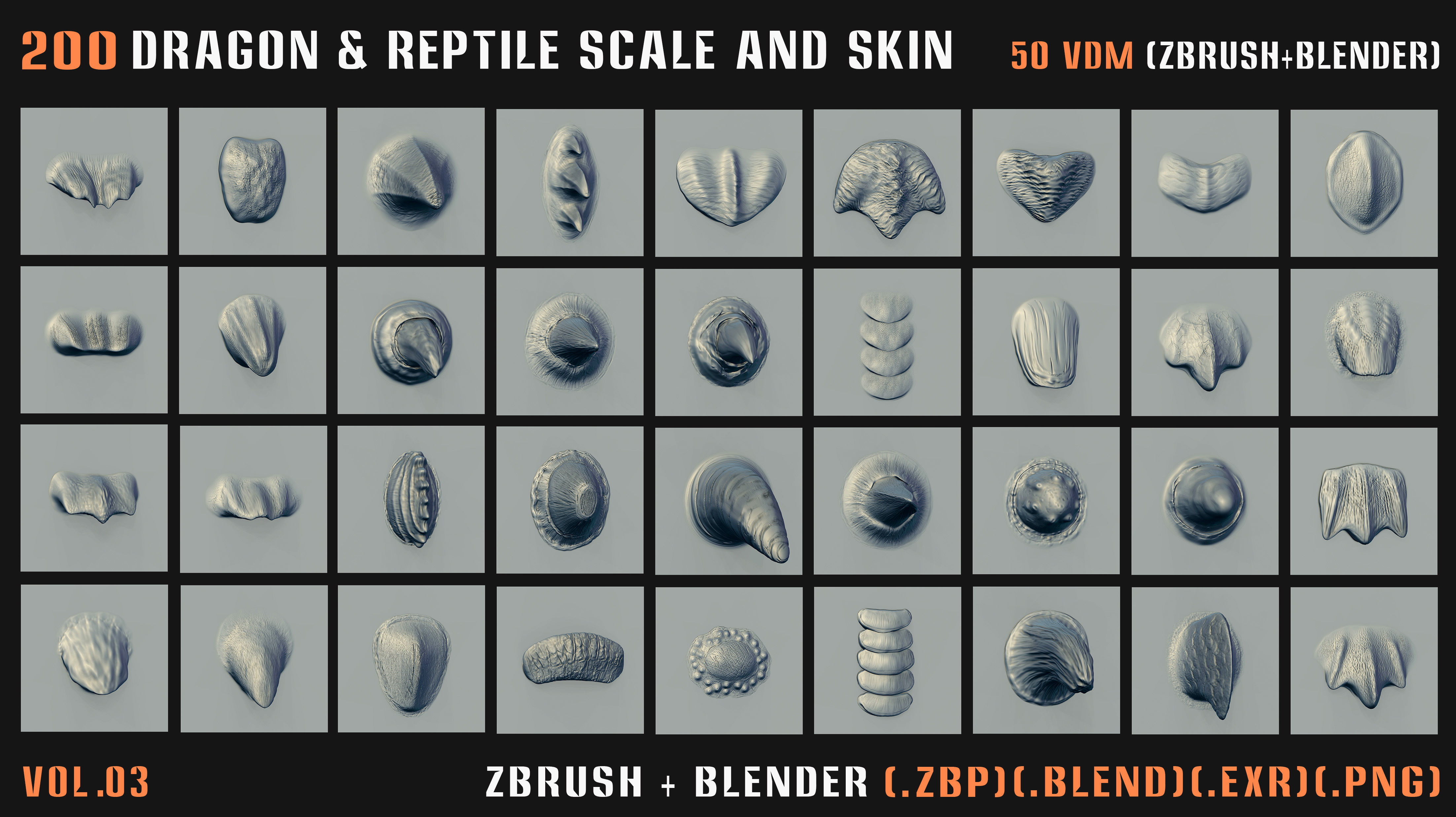 200 Dragon and Reptile Scale and Skin -VDM -Alpha -VOL03 3D model_3