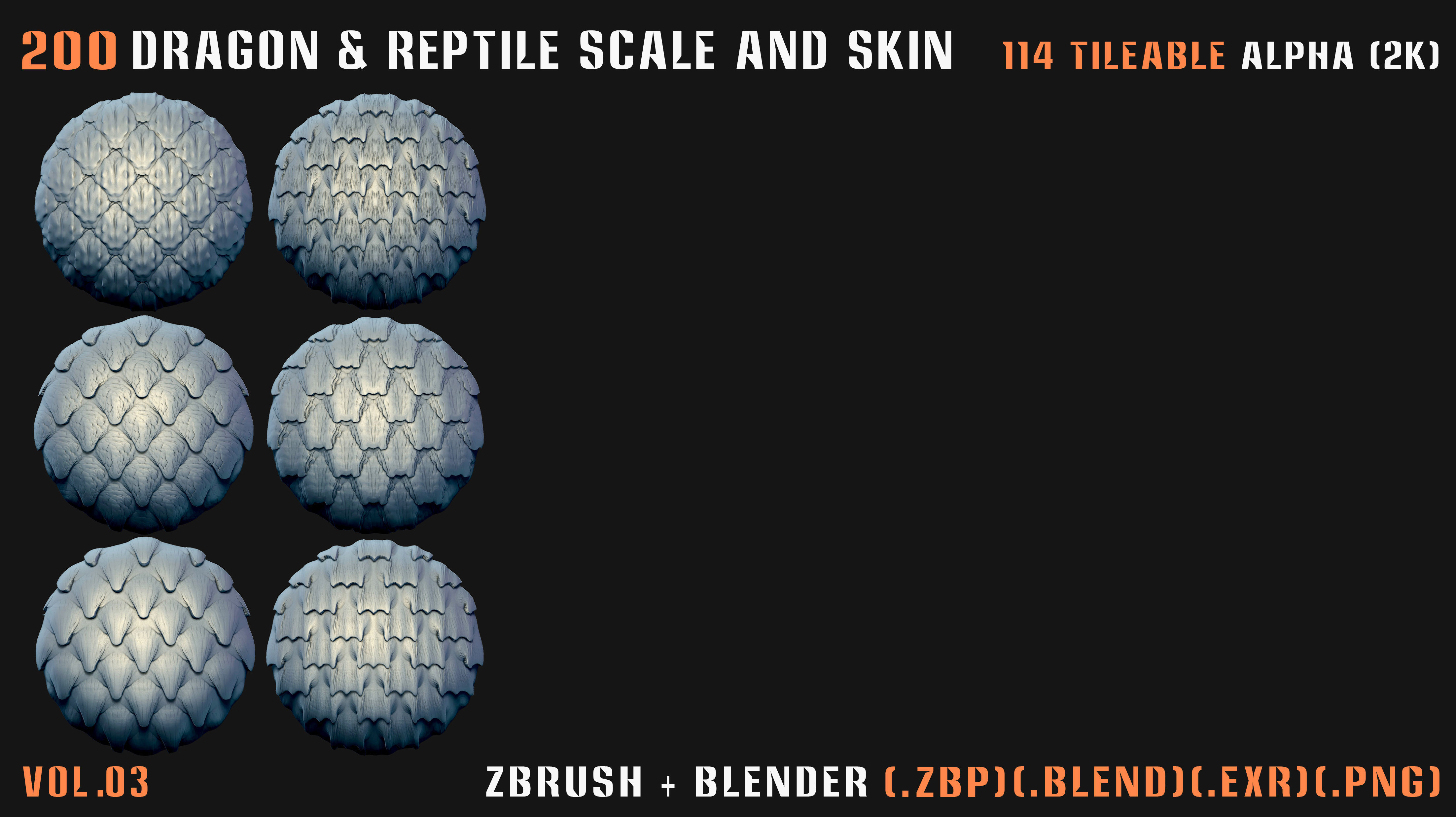 200 Dragon and Reptile Scale and Skin -VDM -Alpha -VOL03 3D model_13