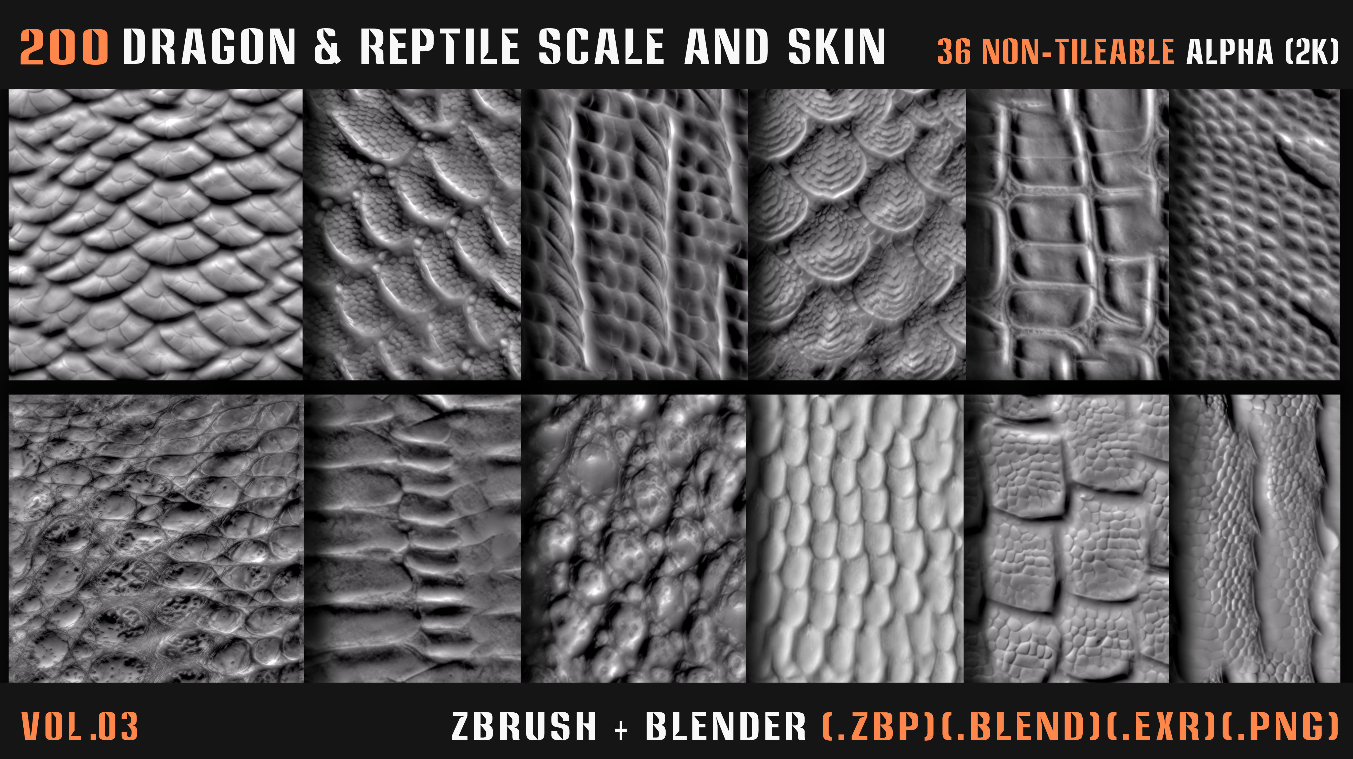 200 Dragon and Reptile Scale and Skin -VDM -Alpha -VOL03 3D model_18