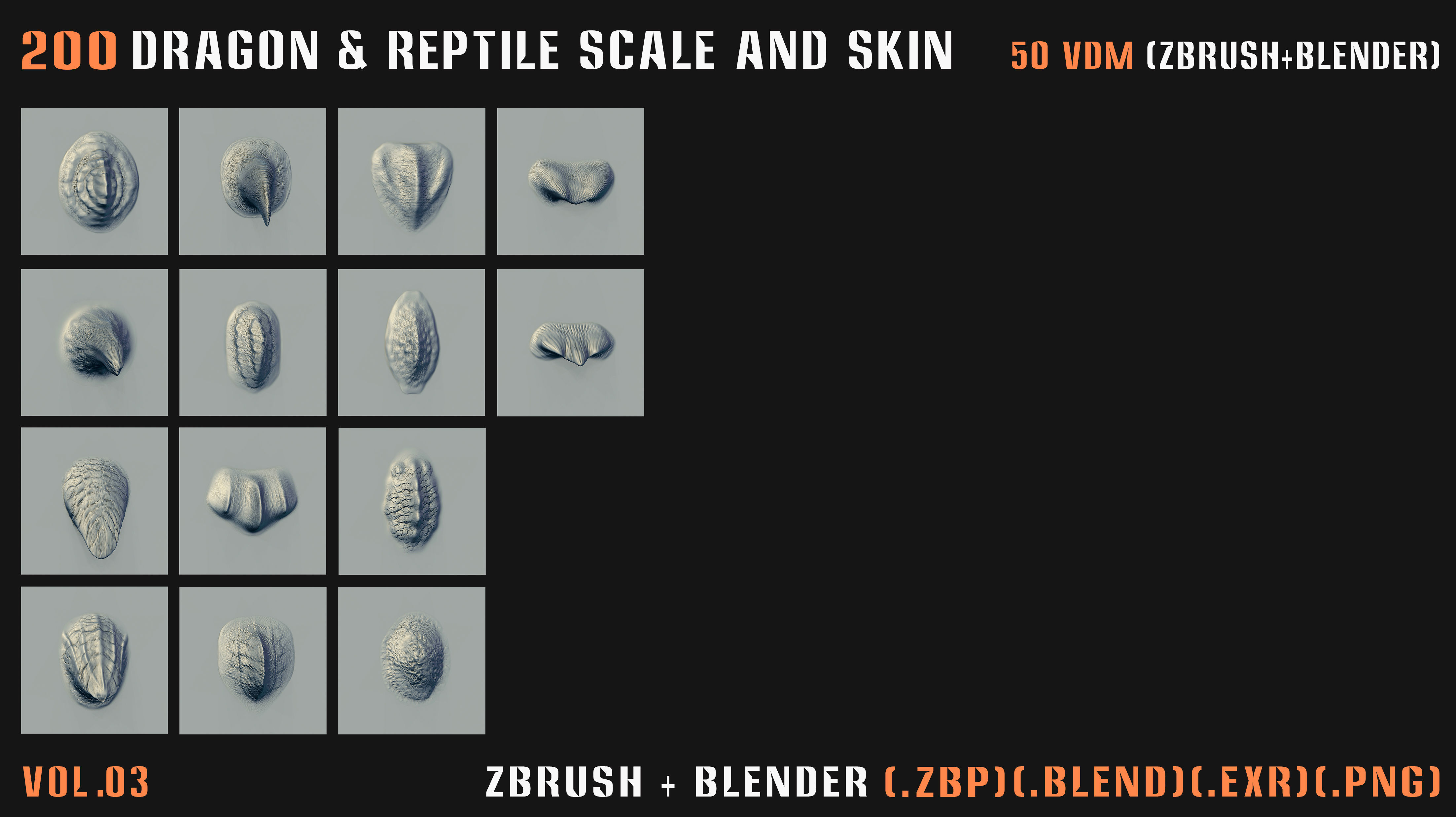 200 Dragon and Reptile Scale and Skin -VDM -Alpha -VOL03 3D model_4