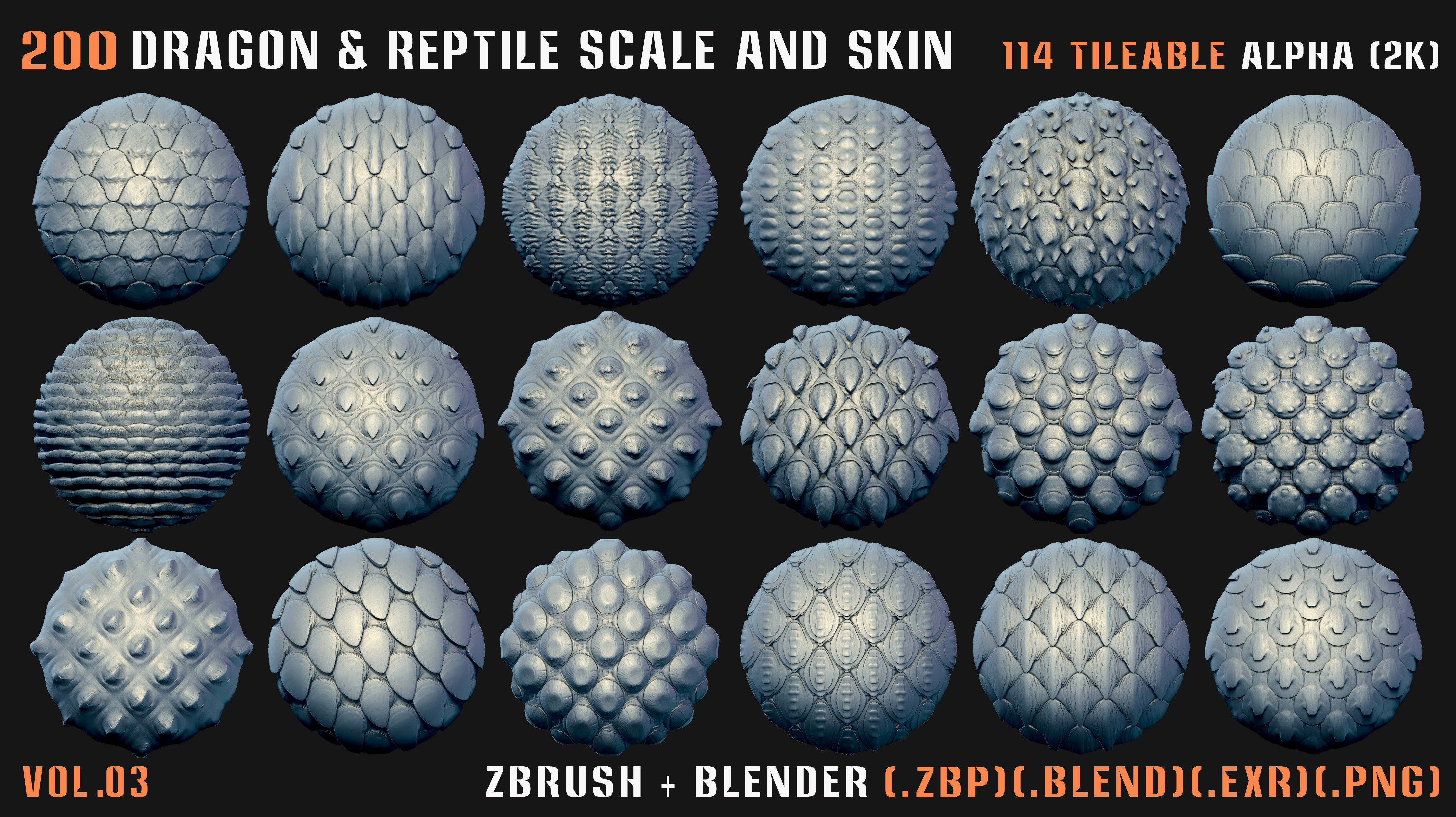 200 Dragon and Reptile Scale and Skin -VDM -Alpha -VOL03 3D model_6