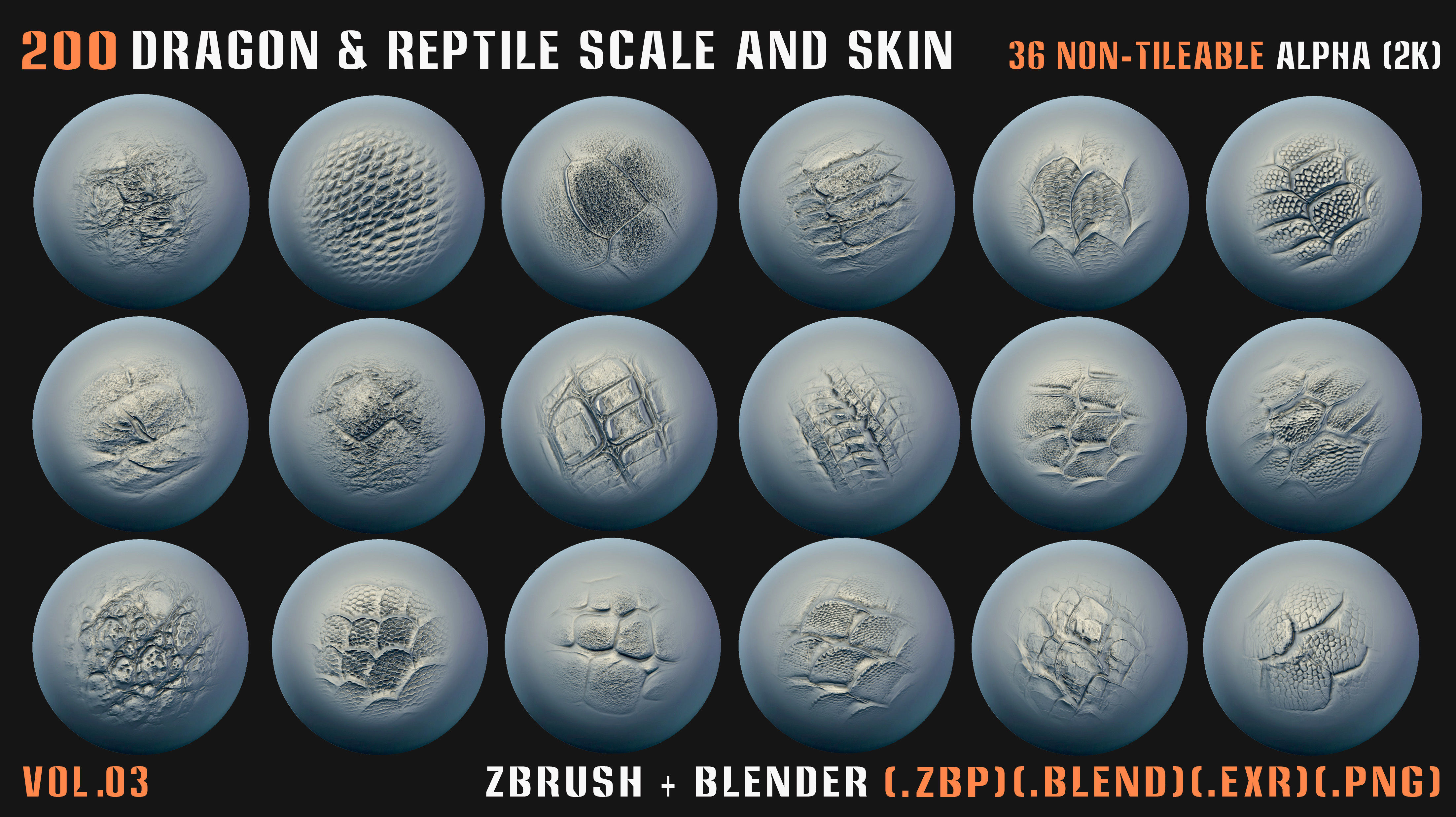 200 Dragon and Reptile Scale and Skin -VDM -Alpha -VOL03 3D model_16