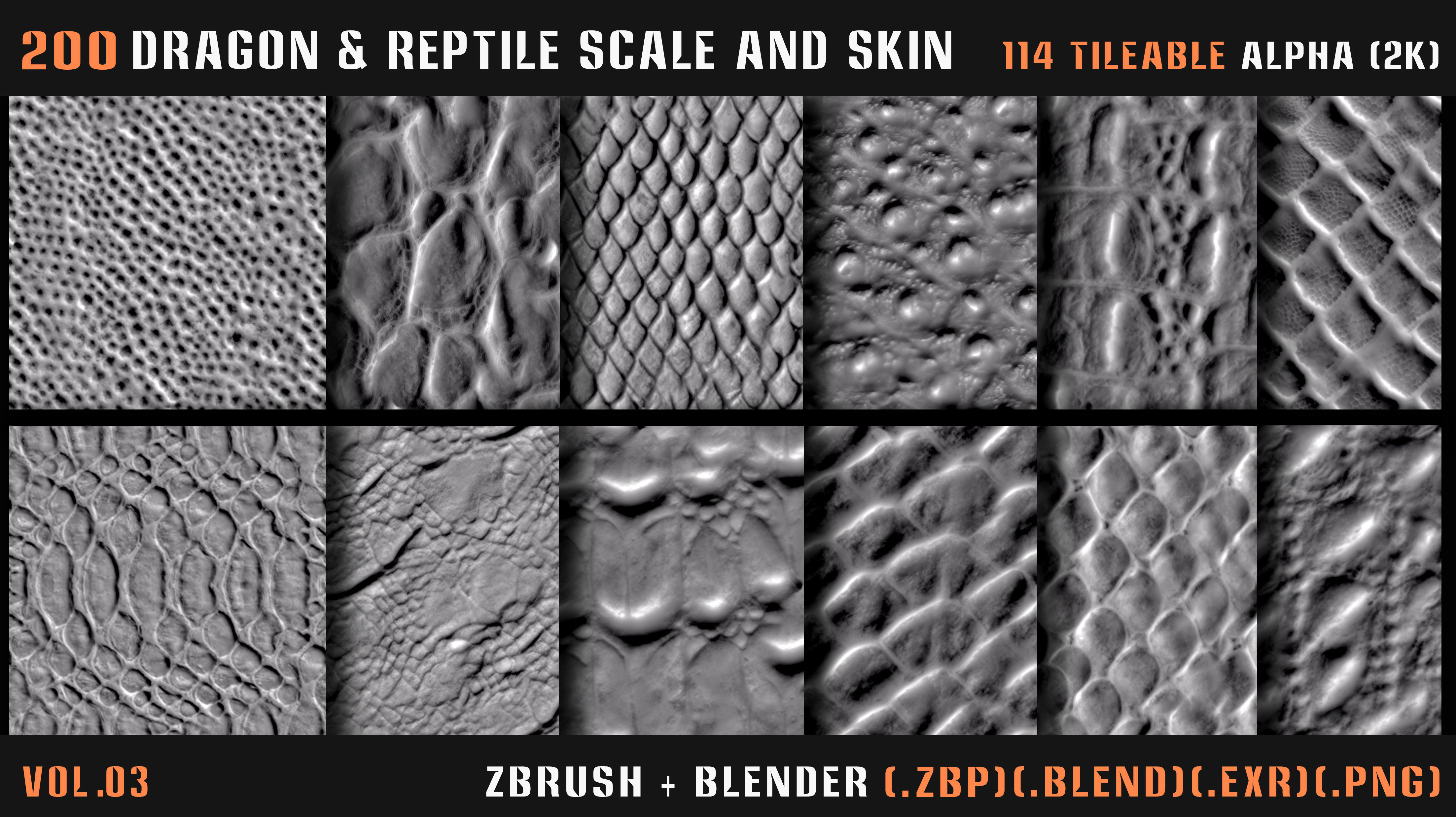 200 Dragon and Reptile Scale and Skin -VDM -Alpha -VOL03 3D model_15