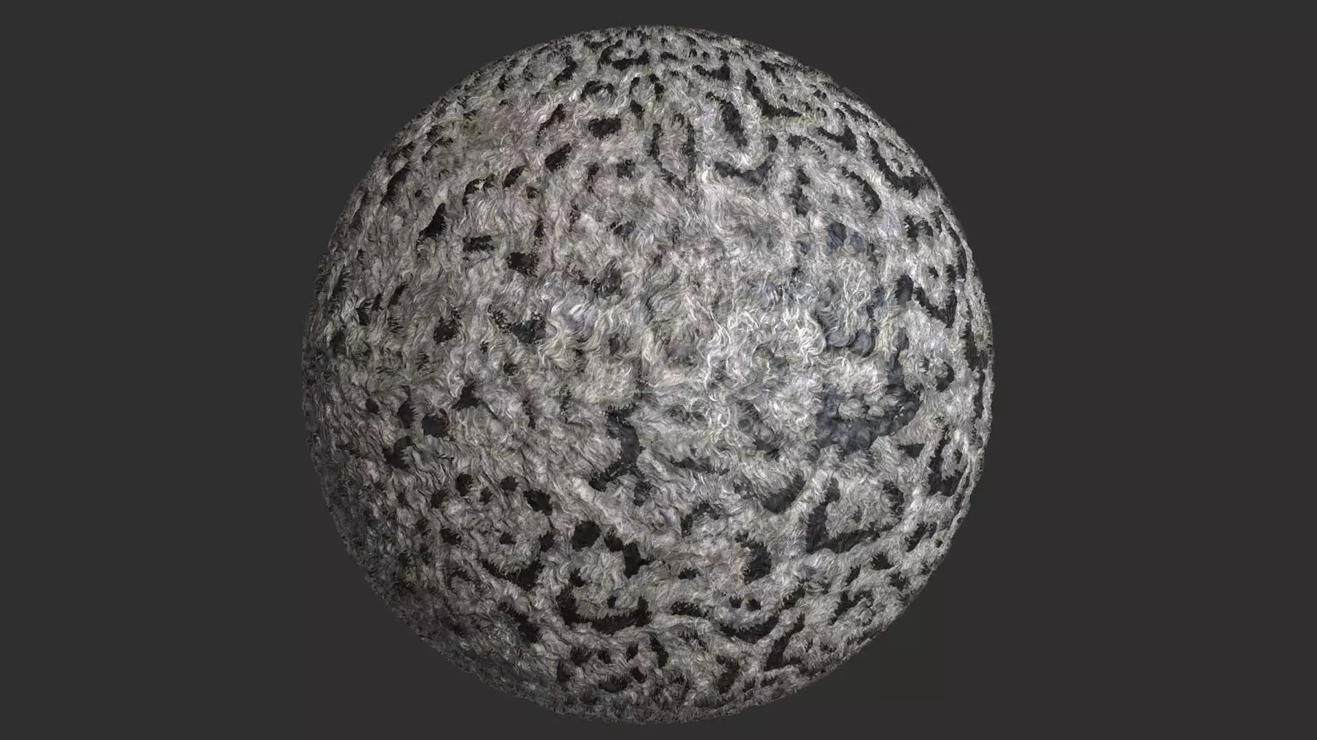 Snow leopard Fur Pbr 4k Texture 3D model_0
