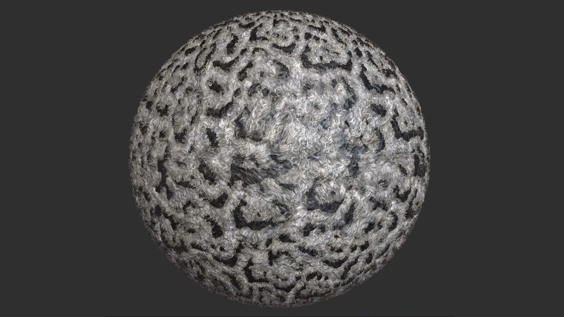 Snow leopard Fur Pbr 4k Texture 3D model_2