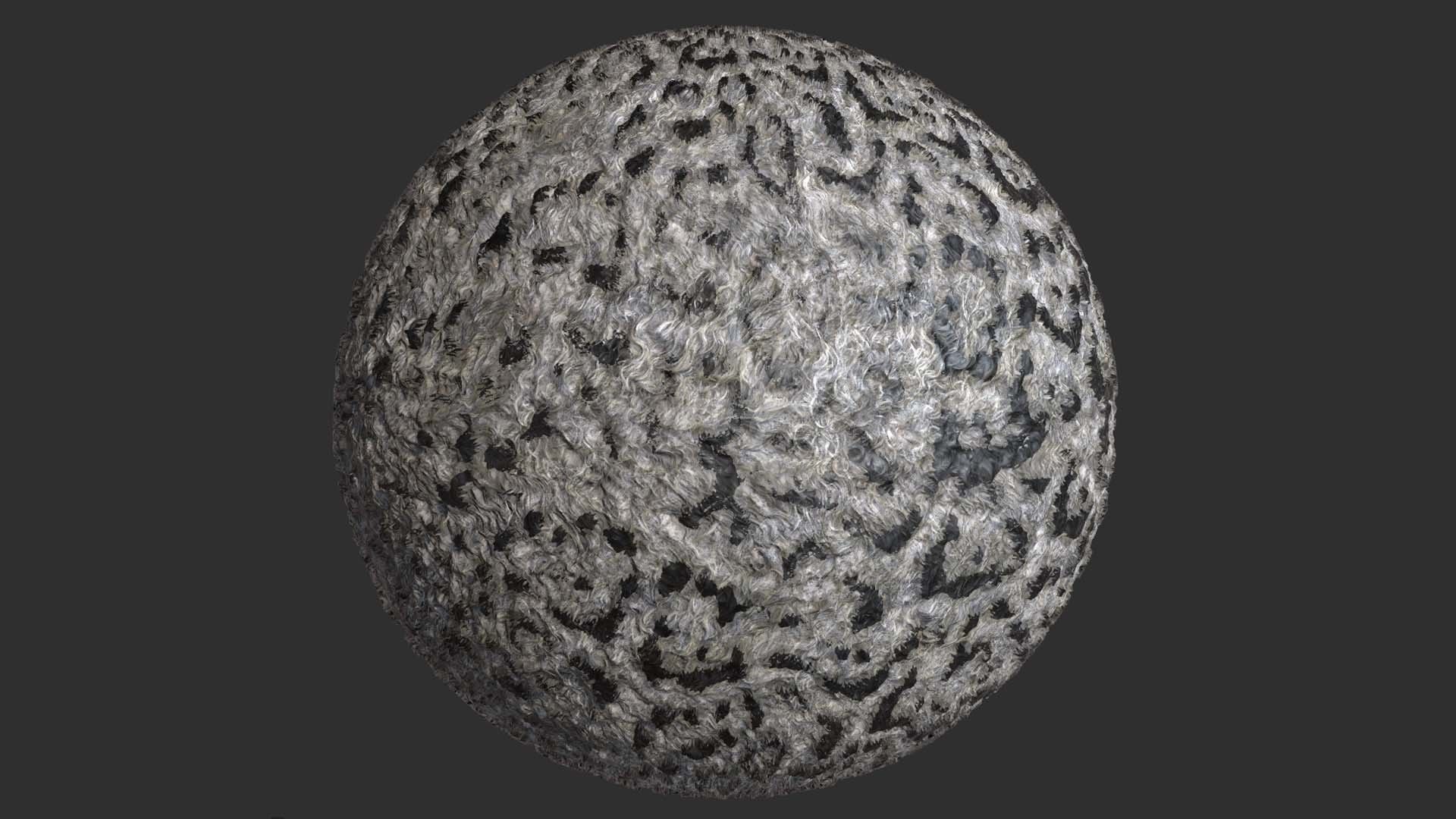 Snow leopard Fur Pbr 4k Texture 3D model_3
