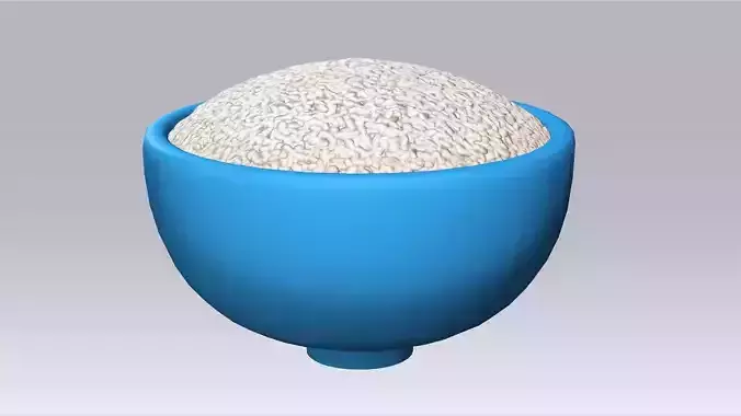 A bowl of rice
