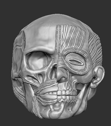 Half Man and Skull Ring 3D print model 3D print model_3