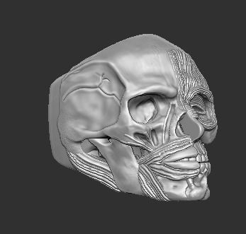 Half Man and Skull Ring 3D print model 3D print model_1