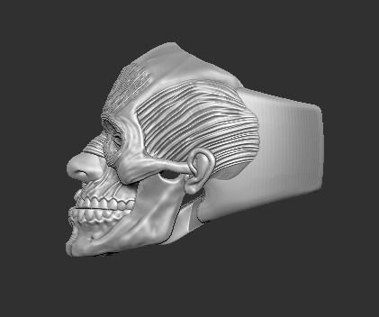 Half Man and Skull Ring 3D print model 3D print model_2