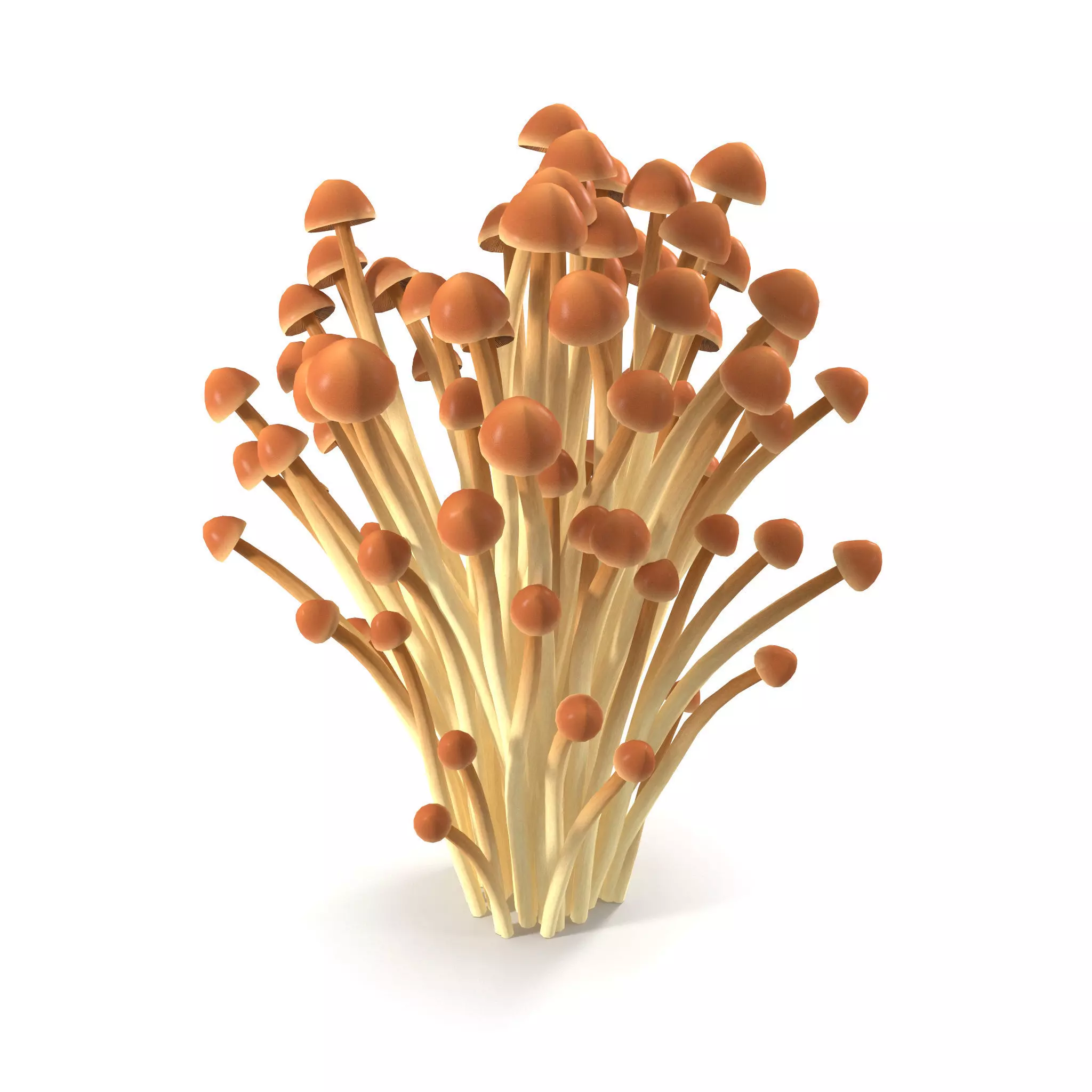 Brown Enoki mushrooms 3D model