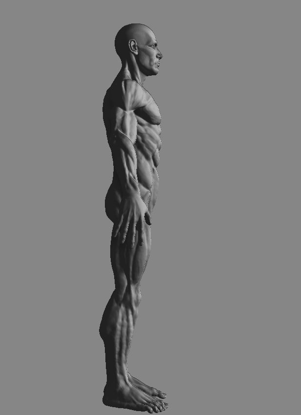 Man Body 3d Model with details  3D print model_1