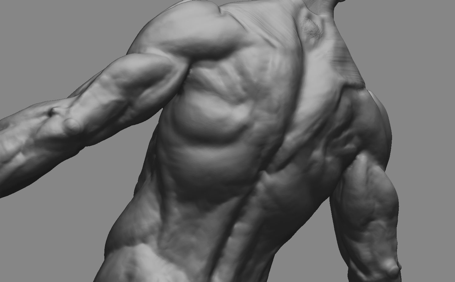 Man Body 3d Model with details  3D print model_6