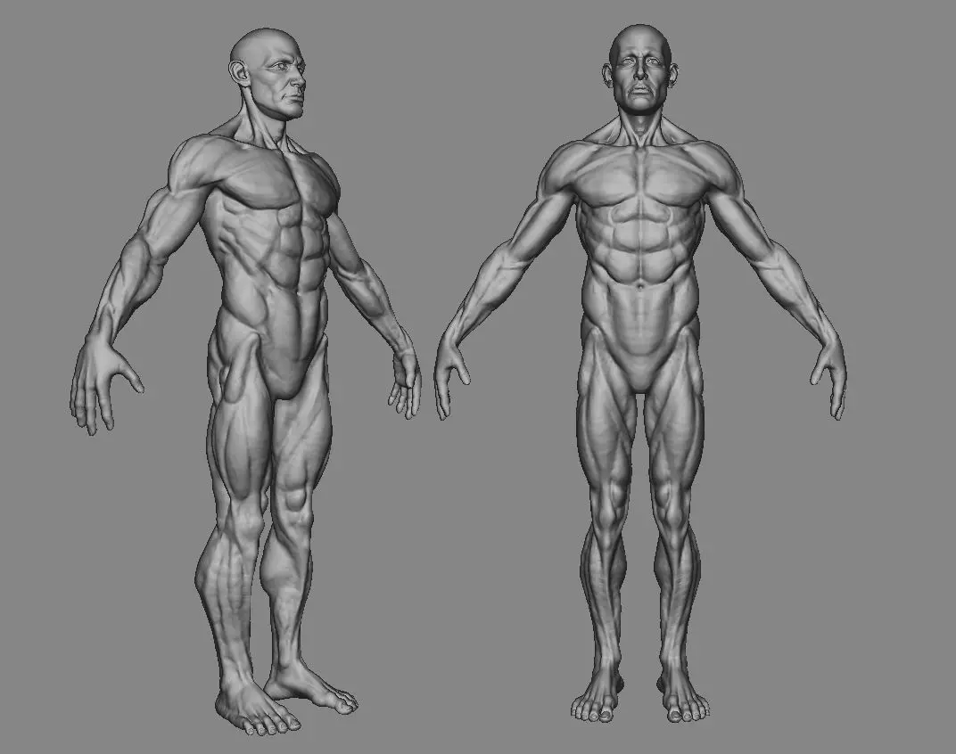 Man Body 3d Model with details  3D print model_0