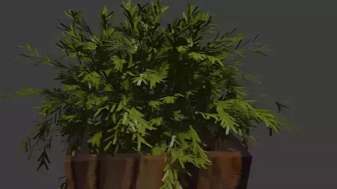 Tree Pot
