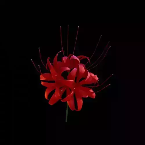 Lycoris Free low-poly 3D model