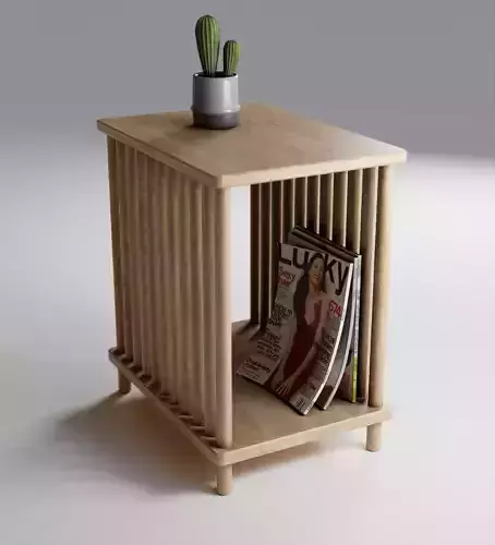 End table with plant and magazines