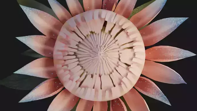 Flower Low Poly PBR Protea Low-poly 3D model