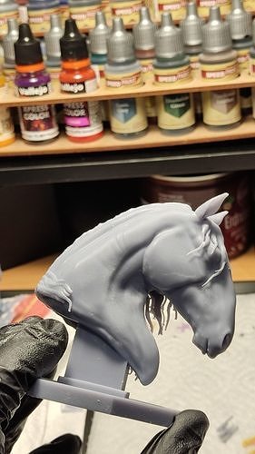 Lusitano Horse Head Free 3D print model