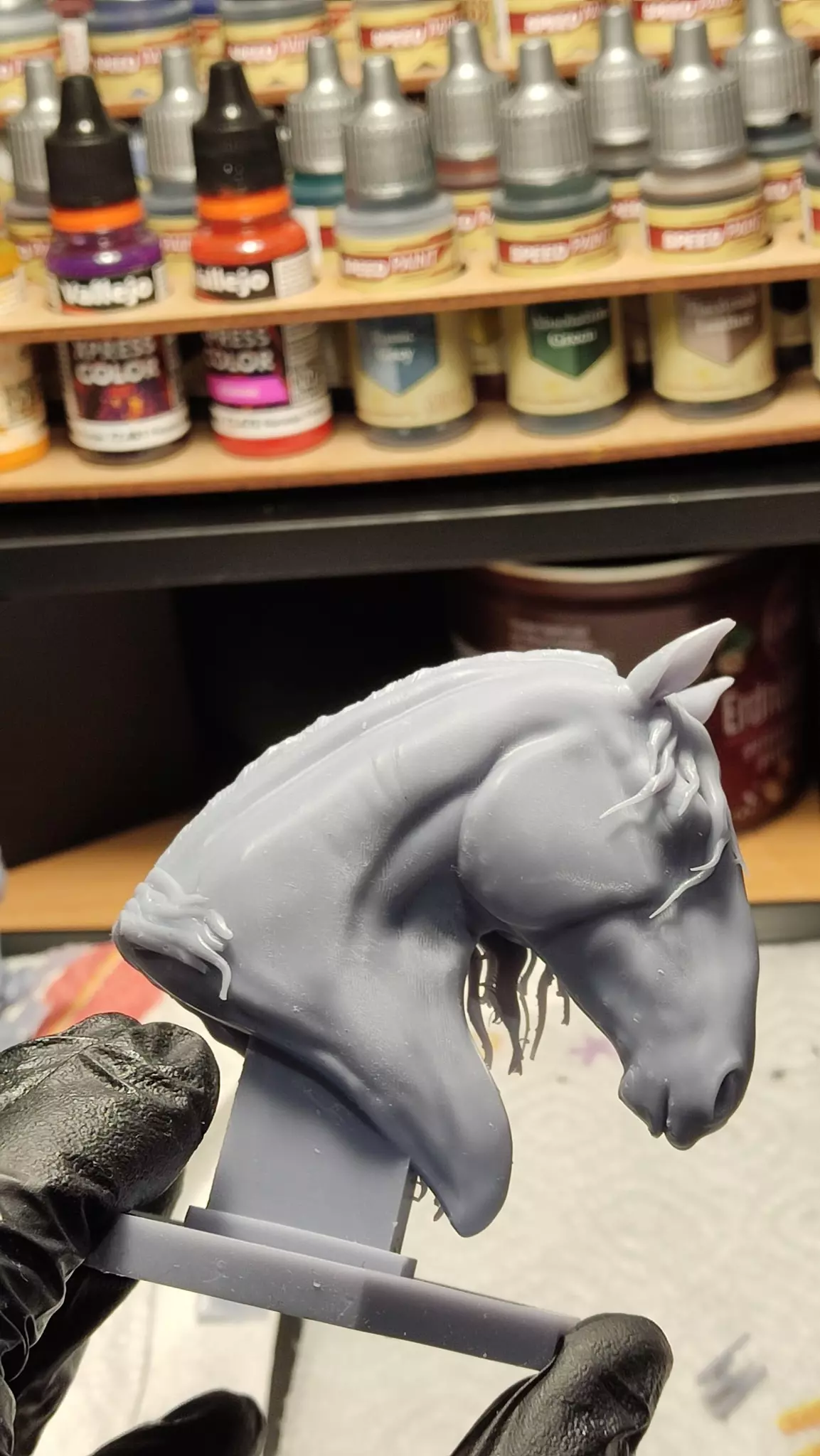 Lusitano Horse Head Free 3D print model