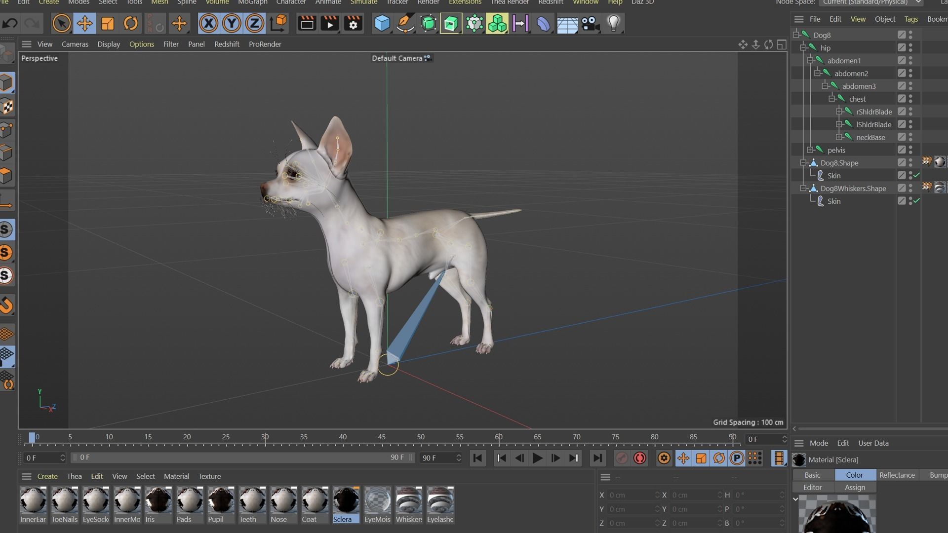 Cute 3D Chihuahua Dog Rigged 3D model_37