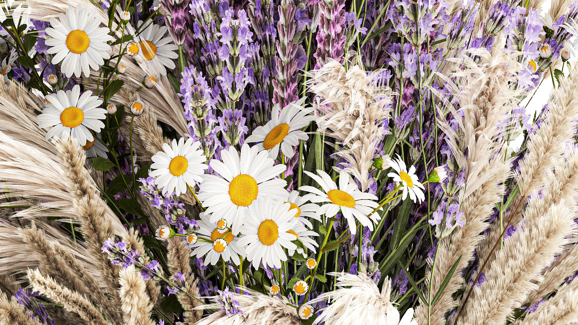 Bouquet of wildflowers lavender chamomile poppy pampas 417 3D model_6