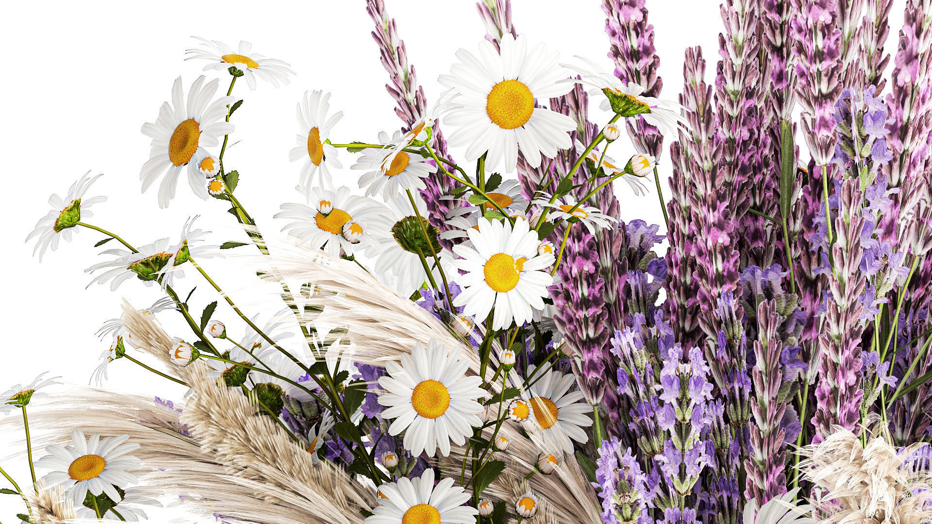 Bouquet of wildflowers lavender chamomile poppy pampas 417 3D model_4