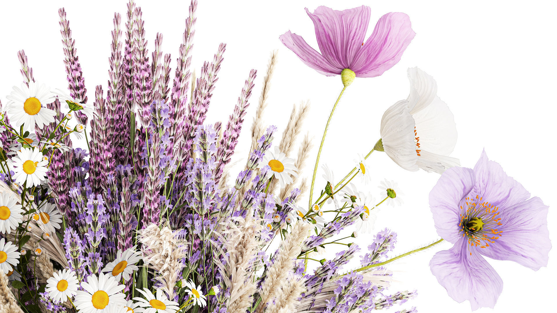 Bouquet of wildflowers lavender chamomile poppy pampas 417 3D model_3