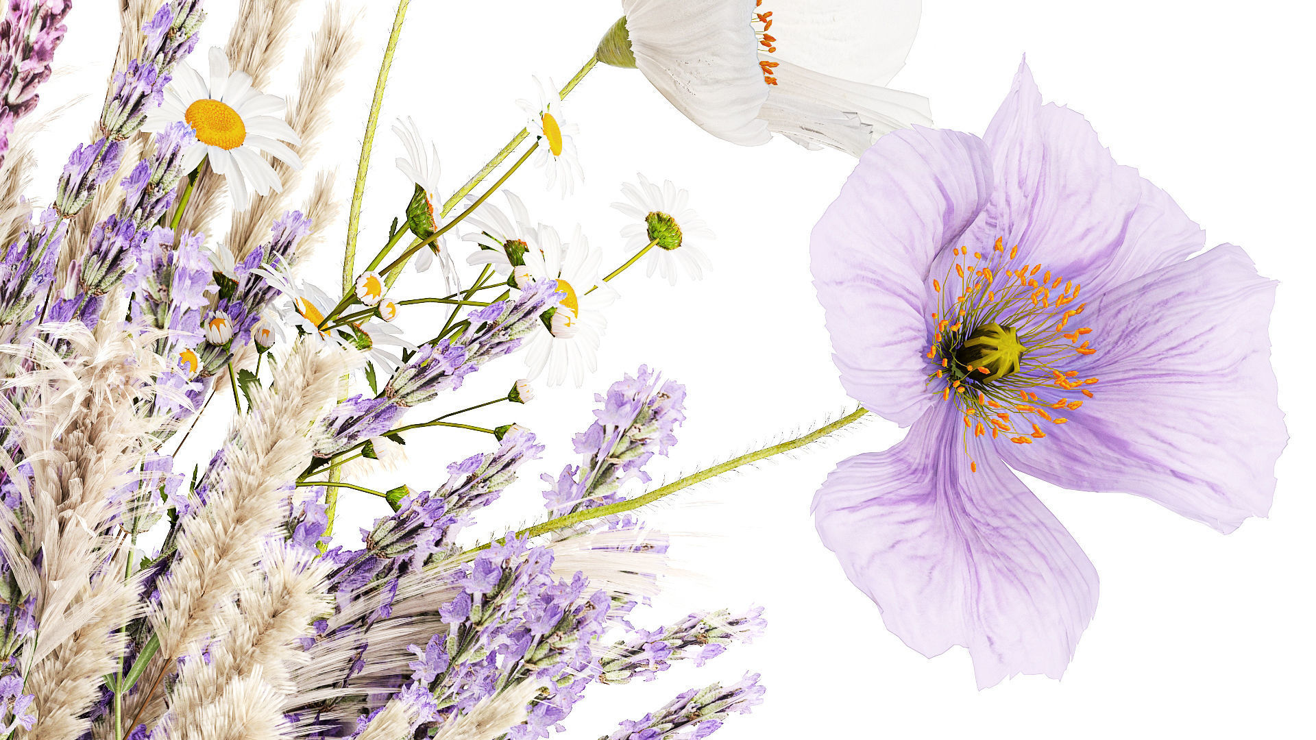 Bouquet of wildflowers lavender chamomile poppy pampas 417 3D model_5