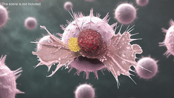 Cancer Cell with Lymphocyte