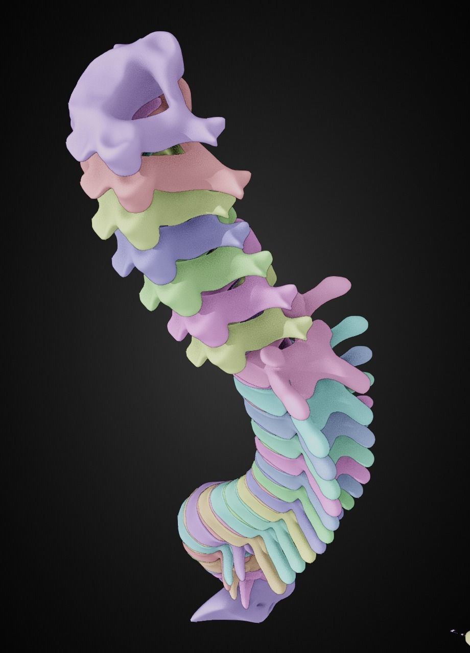 Spine with vertebraes lumbar thoracic cervical 2024 3D model_14
