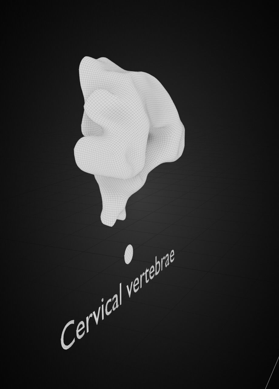 Spine with vertebraes lumbar thoracic cervical 2024 3D model_10