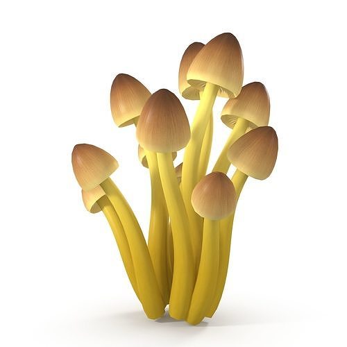 Mycena Renati mushrooms 3D model 6