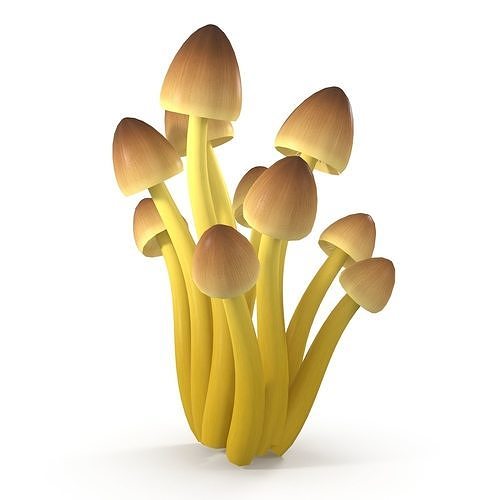 Mycena Renati mushrooms 3D model 5