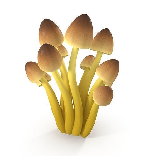 Mycena Renati mushrooms 3D model 3