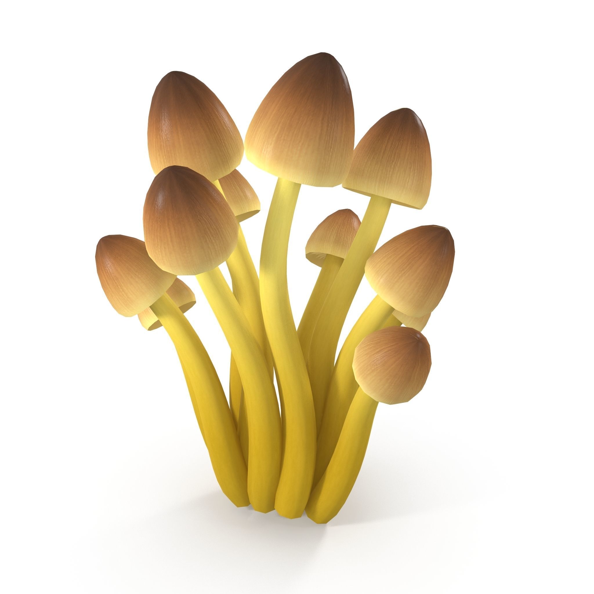 Mycena Renati mushrooms 3D model_2