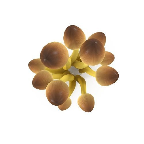 Mycena Renati mushrooms 3D model 4