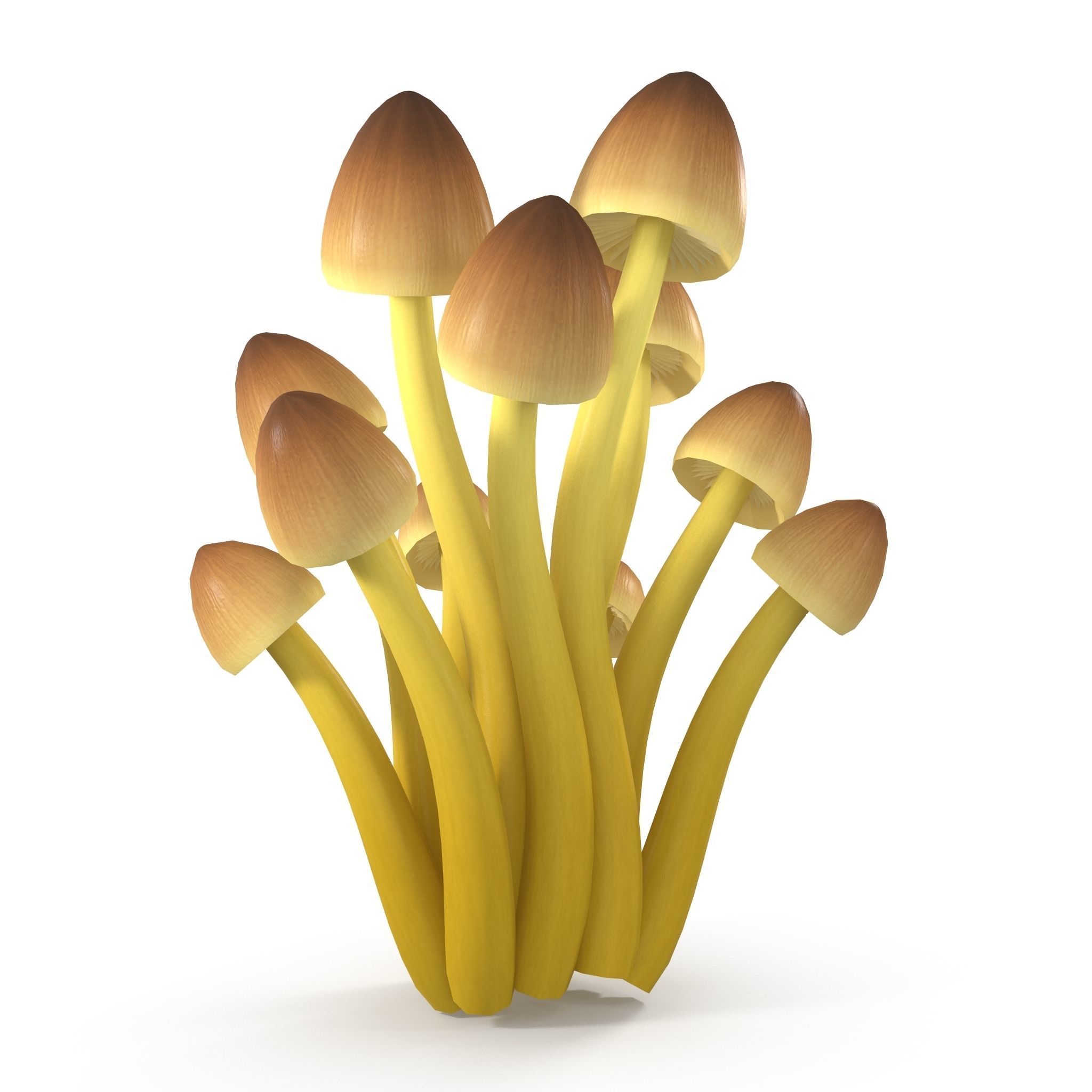 Mycena Renati mushrooms 3D model_6