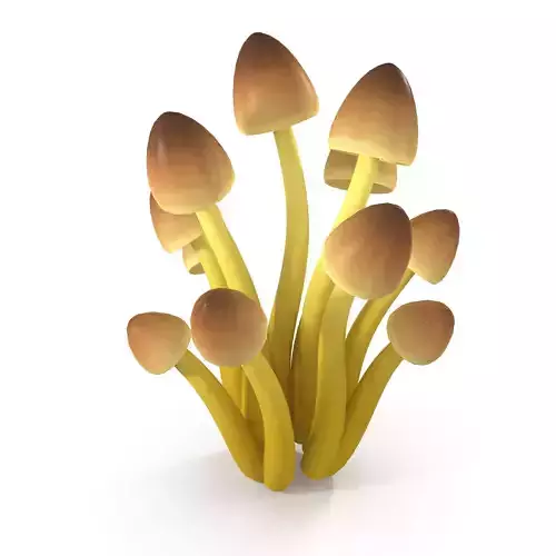 Mycena Renati mushrooms 3D model