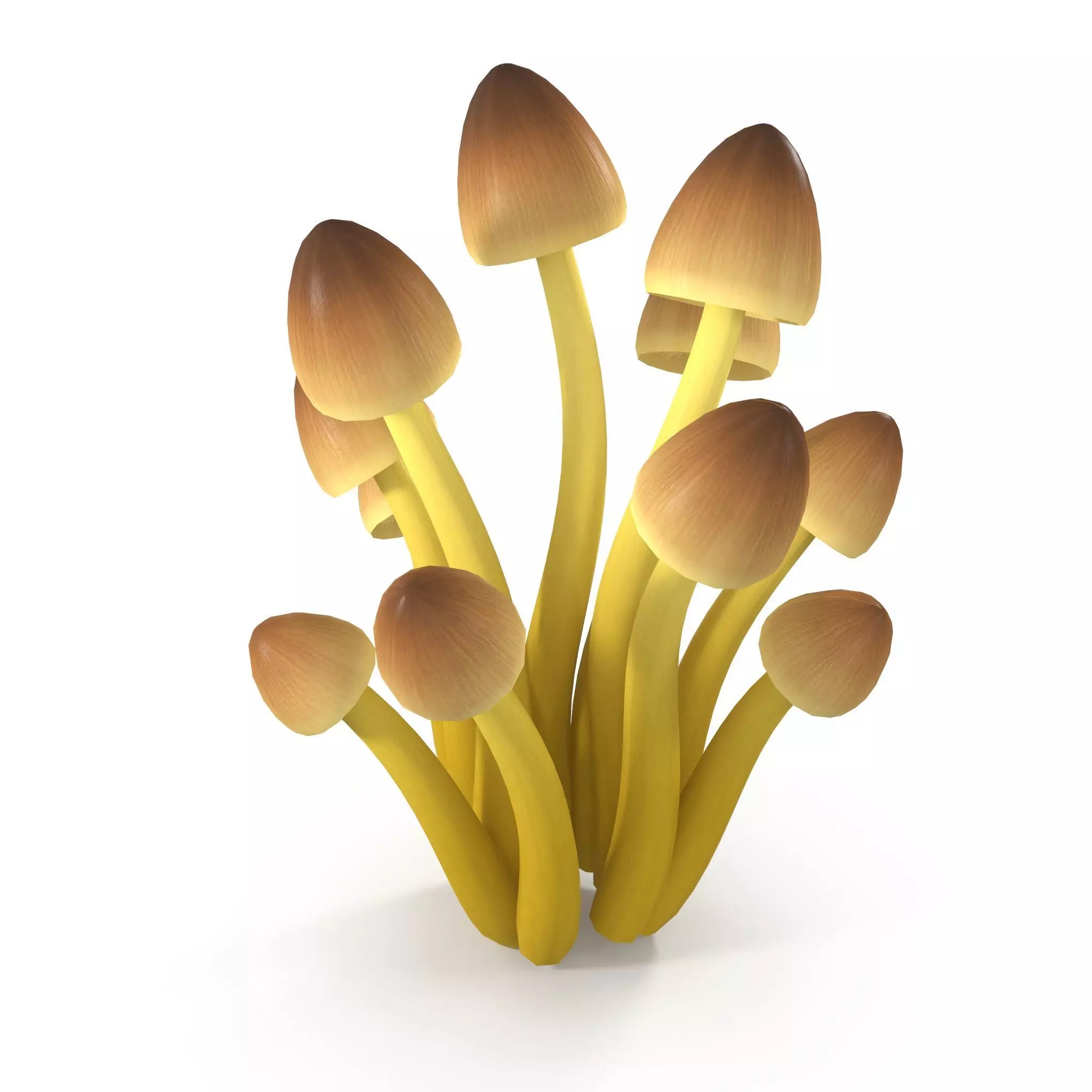 Mycena Renati mushrooms 3D model_0