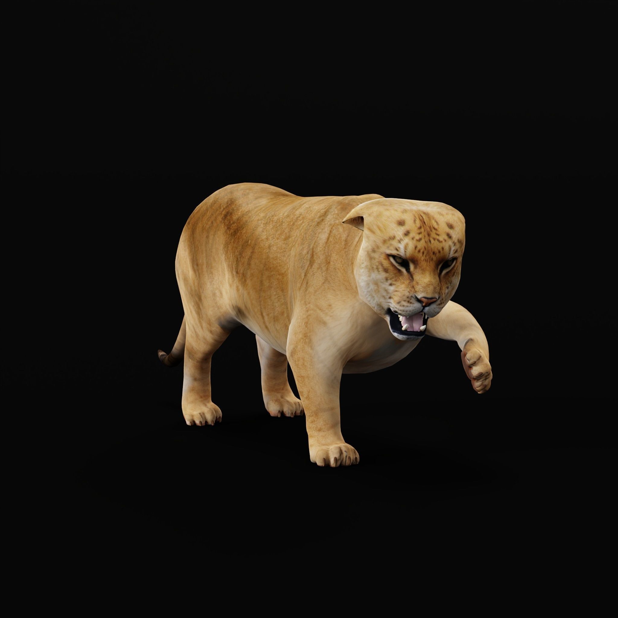 Liger Hybrid Feline 3D model_32