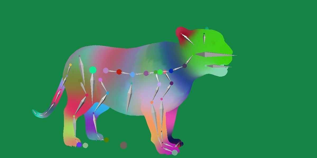 Liger Hybrid Feline 3D model_18