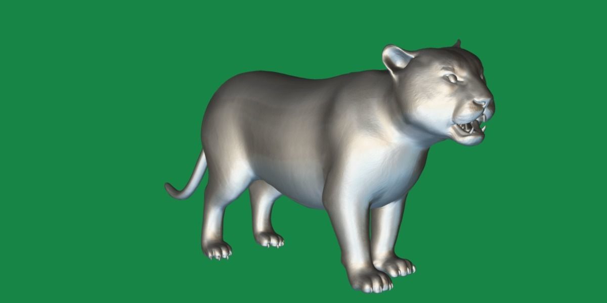 Liger Hybrid Feline 3D model_5
