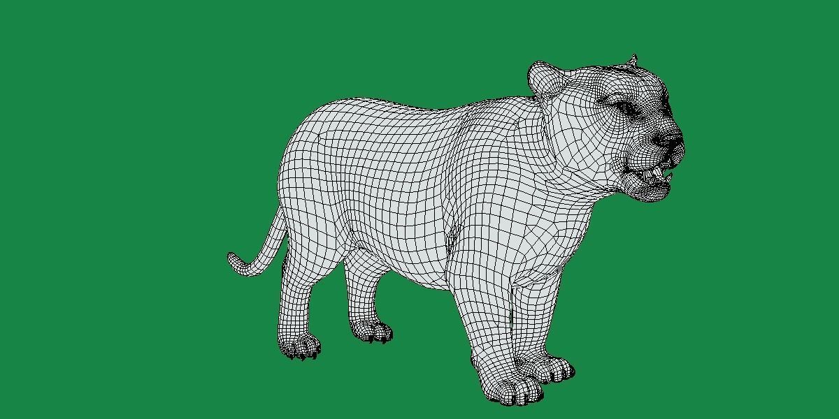 Liger Hybrid Feline 3D model_6