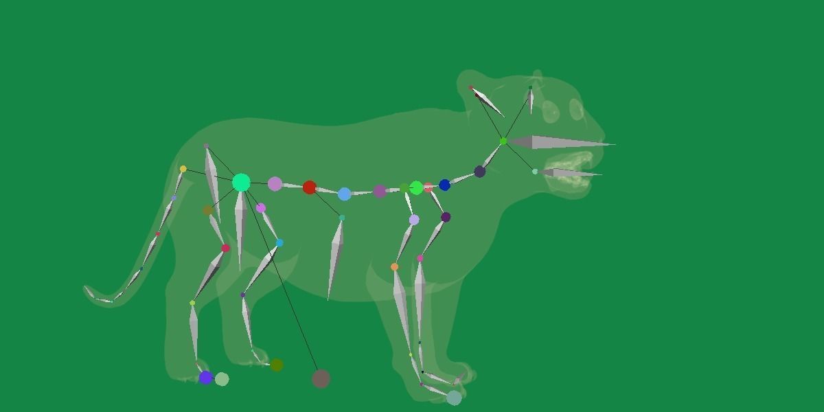 Liger Hybrid Feline 3D model_17