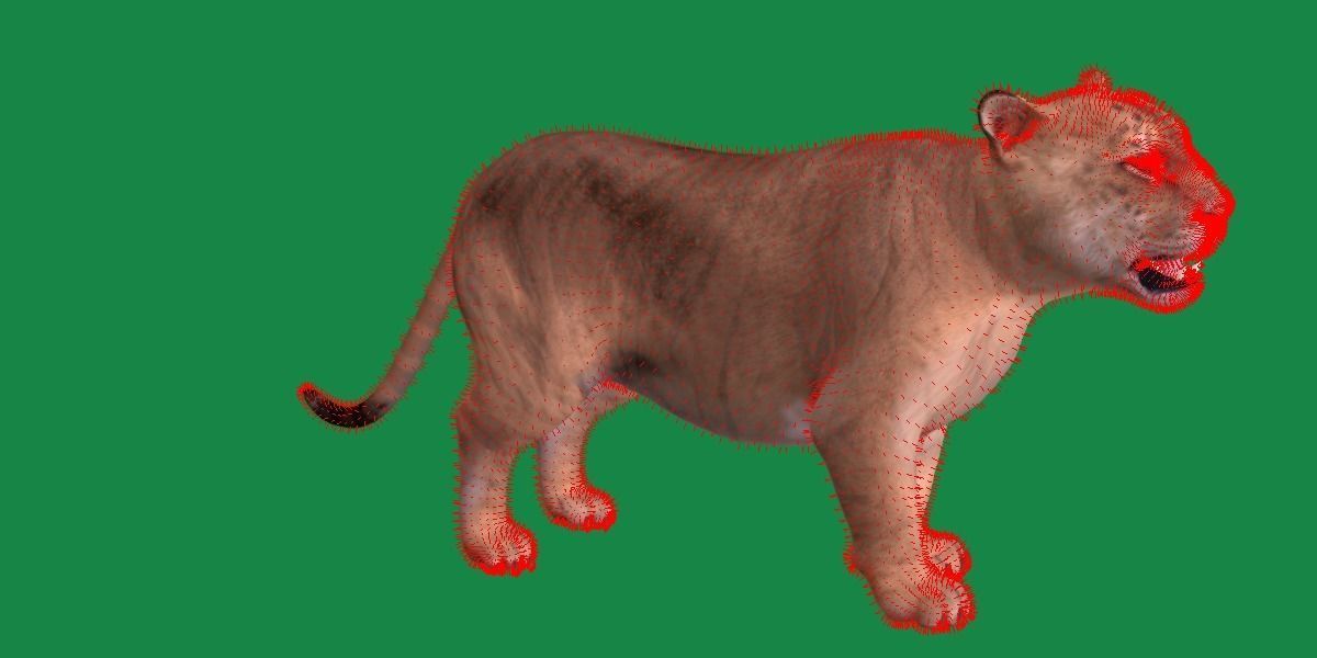 Liger Hybrid Feline 3D model_8