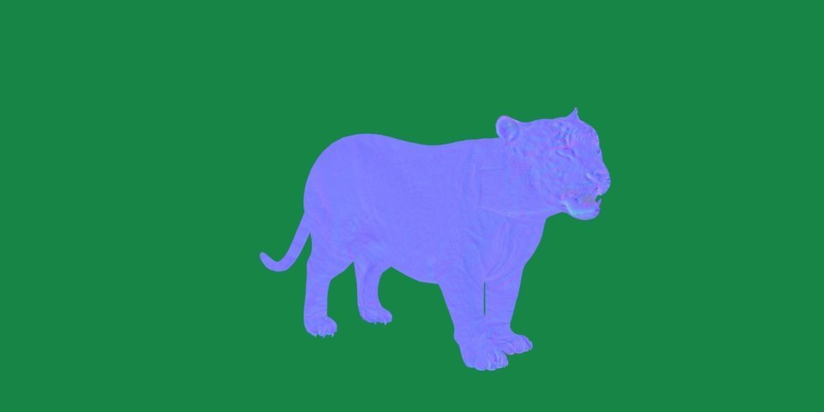 Liger Hybrid Feline 3D model_22