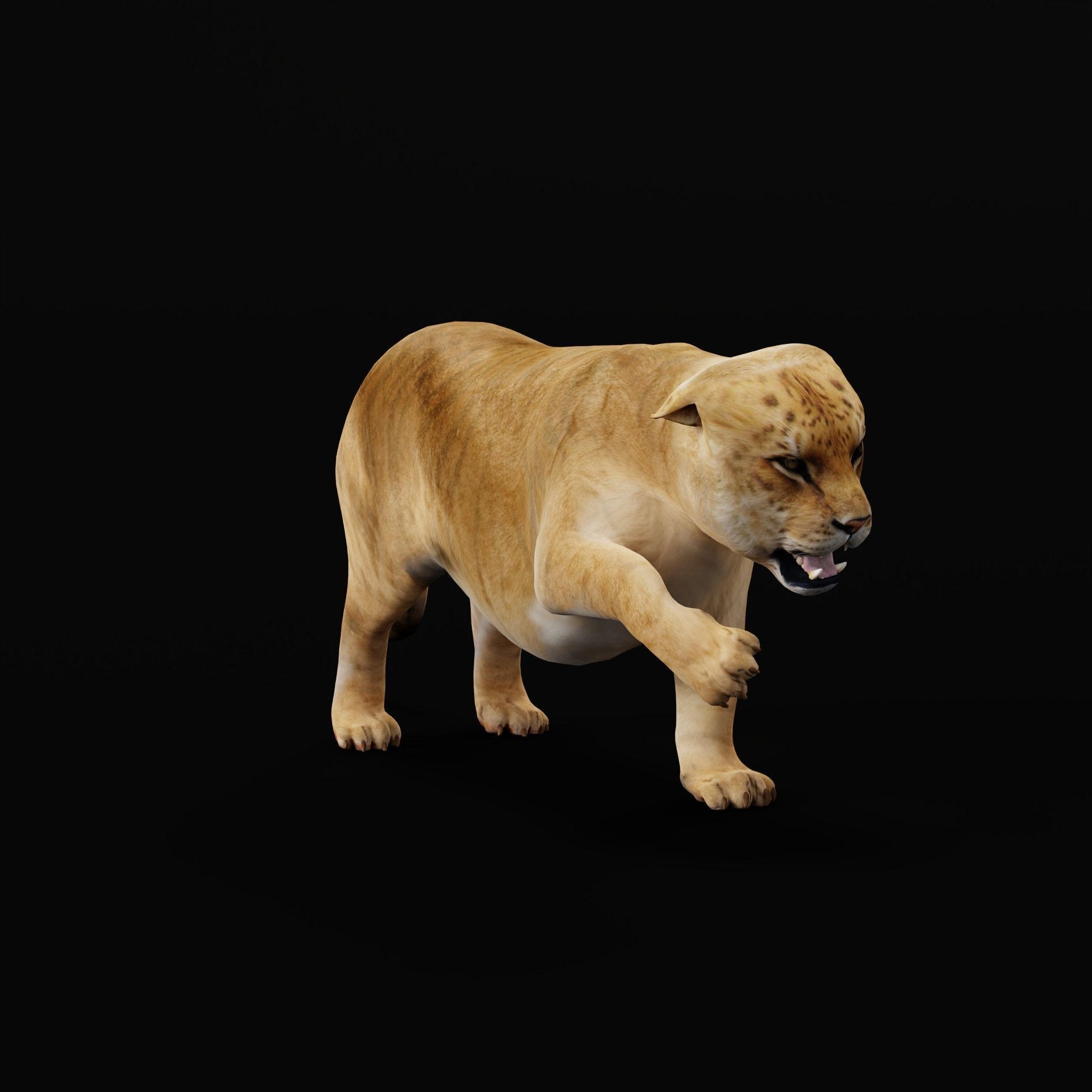 Liger Hybrid Feline 3D model_31